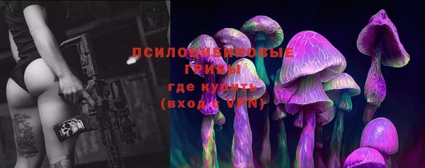 2c-b Алзамай