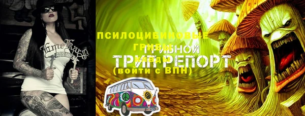 хмурый Алексеевка