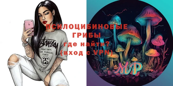 2c-b Алзамай